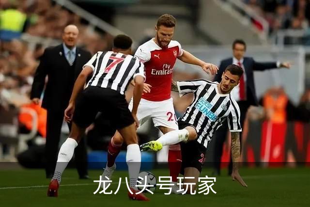 龙八头号玩家公司介绍图